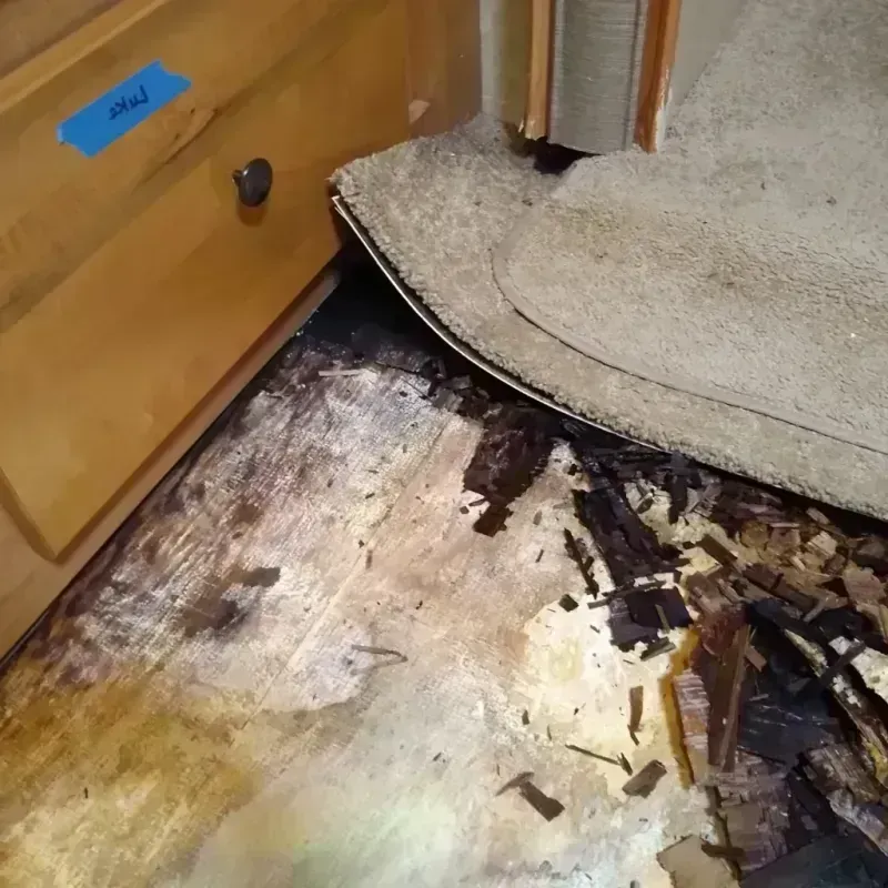 Best Wood Floor Water Damage Service in Oakport, MN